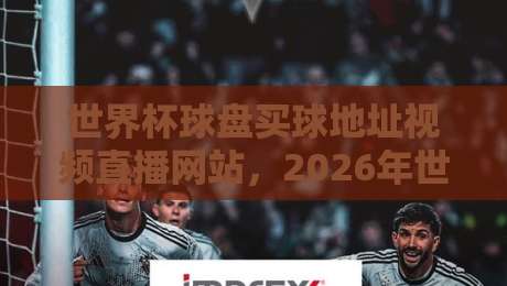 世界杯球盘买球地址视频直播网站,2026年世界杯观赛指南与风险警示
