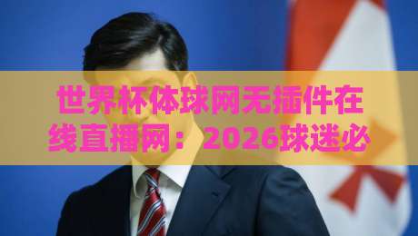 世界杯体球网无插件在线直播网：2026球迷必备的观赛神器