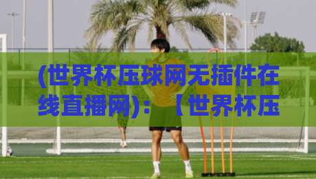 (世界杯压球网无插件在线直播网)：【世界杯压球网无插件在线直播网】2026年观赛新姿势，你试过吗？