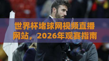 世界杯堵球网视频直播网站,2026年观赛指南与避坑手册 世界杯堵球网视频直播网站,2026年观赛指南与避坑手册